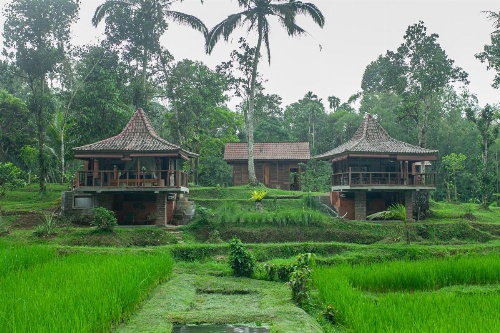 Tepi Sawah Lodge & Retreat image 1